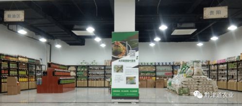 貴州戶戶達 以農產品展示體驗中心為橋，守護家鄉風味，服務會務展覽